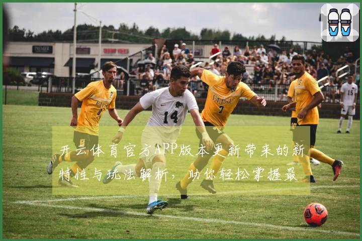 开云体育官方APP版本更新带来的新特性与玩法解析，助你轻松掌握最新策略