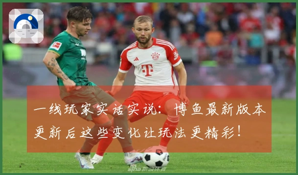 一线玩家实话实说:博鱼最新版本更新后这些变化让玩法更精彩!