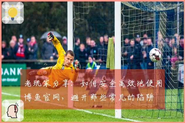 老玩家分享：如何安全高效地使用博鱼官网，避开那些常见的陷阱