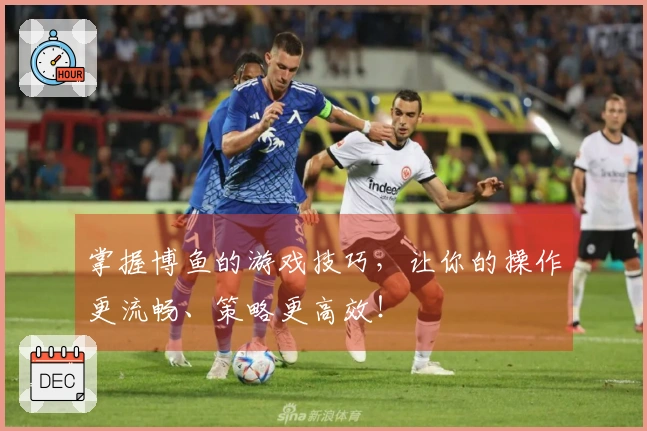 掌握博鱼的游戏技巧，让你的操作更流畅、策略更高效！