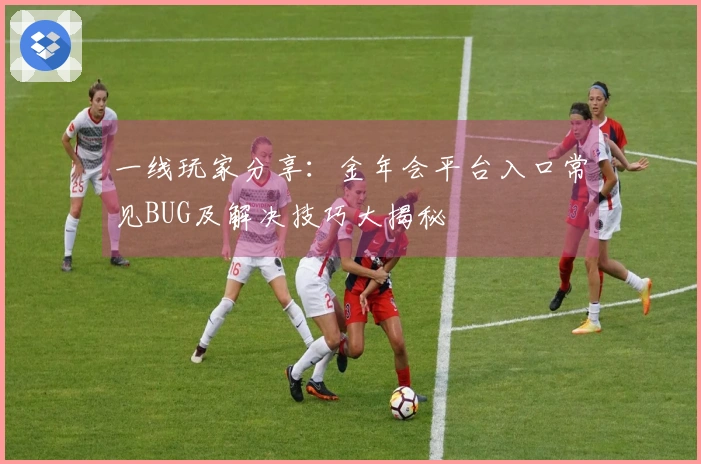 一线玩家分享：金年会平台入口常见BUG及解决技巧大揭秘