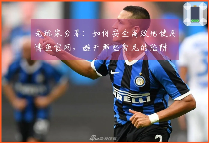 老玩家分享：如何安全高效地使用博鱼官网，避开那些常见的陷阱