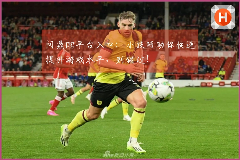 问鼎pg平台入口：小技巧助你快速提升游戏水平，别错过！
